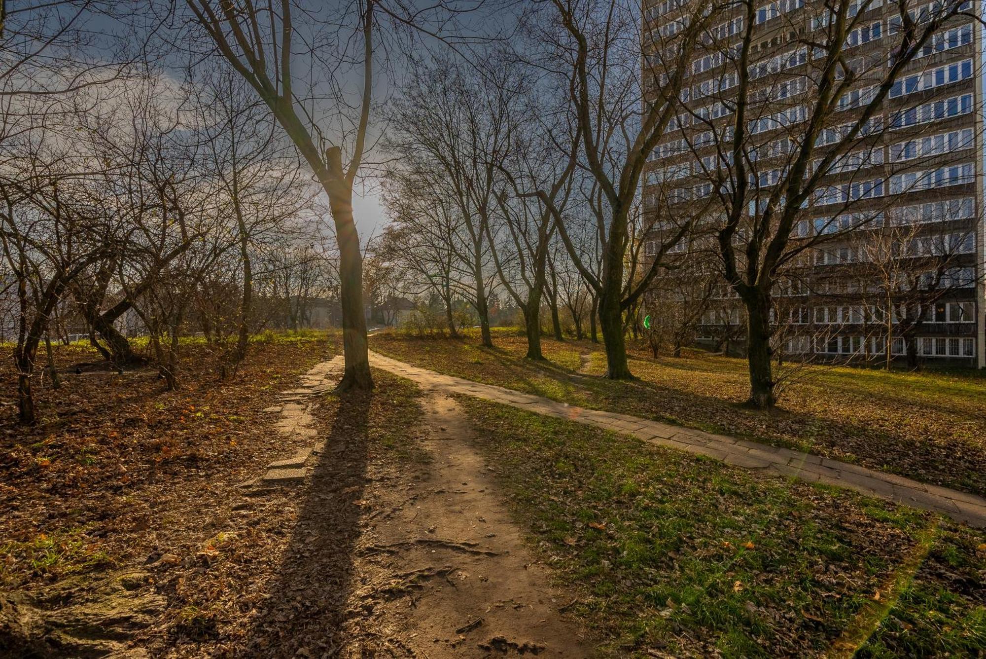 Kozmiana - Workspace, Bus&park Nearby - By Rentujemy Warsaw